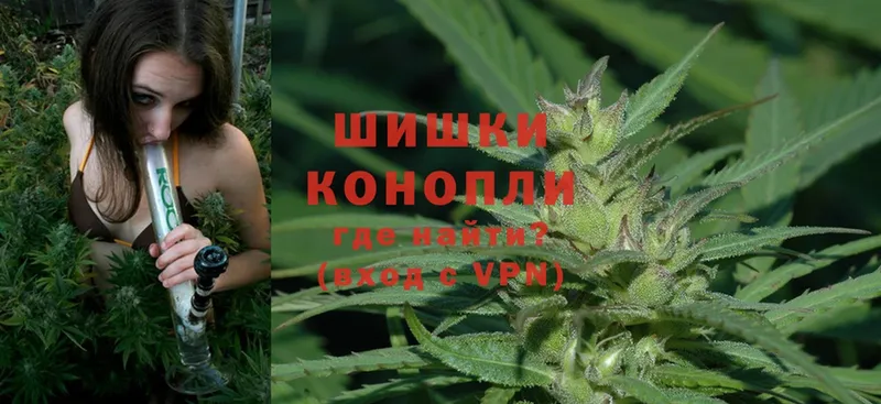 МАРИХУАНА Ganja  Губкин 